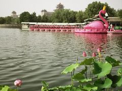 -莲花池公园