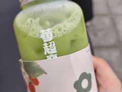 青芒与油柑-莓超疯(西街天台2店)