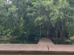 -海南热带野生动植物园
