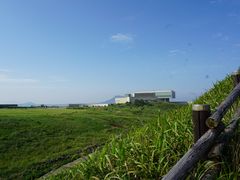 -涉地可支