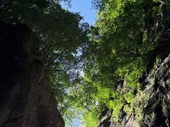-牛背梁国家森林公园