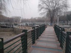 -黛秀湖公园