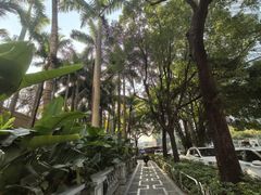 -深圳威尼斯英迪格酒店-邻芙花廊下午茶·NINFA GALLERY·蛋糕·咖啡