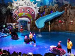 -烟台海昌鲸鲨海洋公园