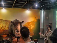 -广东中医药博物馆