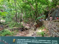-苍岩山风景名胜区