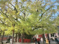 -浮来山风景区