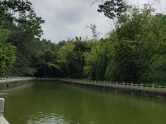 -中山市树木园