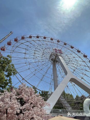 五一期间打卡东湖之眼 排队一个小时十分钟 玩了一个项