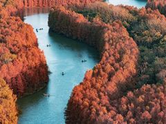 -上海海湾国家森林公园