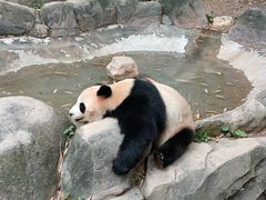 -广州长隆野生动物世界