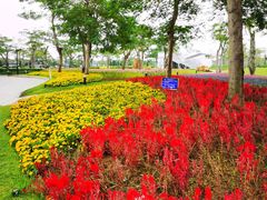 -芒洲湿地公园