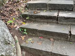 -九鼎铁刹山风景区