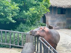 -济南野生动物世界