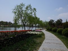 -上海鲜花港