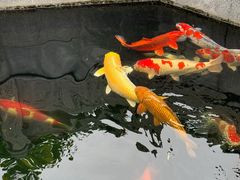 -西安市广仁寺