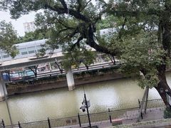 -广东胜利宾馆西关粤中餐厅