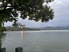 -杭州西湖柳莺里酒店·闻莺厅