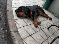 -上海ETC客户服务中心(卢浦大桥网点)