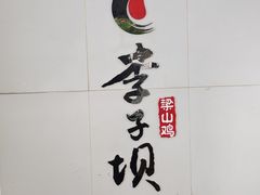 -李子坝梁山鸡(李子坝大鸡哥店)