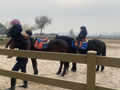 -汉长安城未央宫国家考古遗址公园