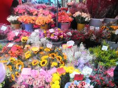 -越秀西湖花市(广州城市广场花卉店)