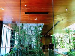 -广州富力君悦大酒店空中花园