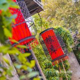 丹阳老粮库：回味无穷的“粮心”之旅 🍚💖