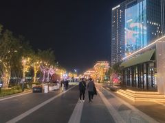 -大望路(地铁站)