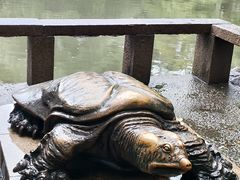 -西园戒幢律寺
