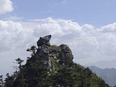 -朱雀国家森林公园