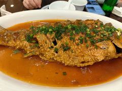 红烧大鲤鱼-老雒阳面馆·水席·洛阳菜(王城路店)