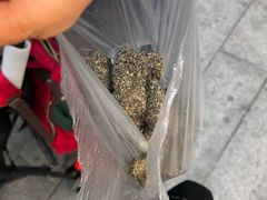 -叶氏麻糍(鼓浪屿店)