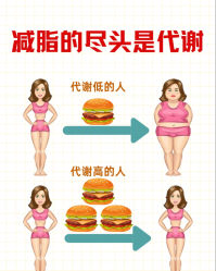 -Fundi张玉珊修身堂·indiba·BTL科技瘦身