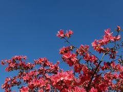 -苏州上方山国家森林公园