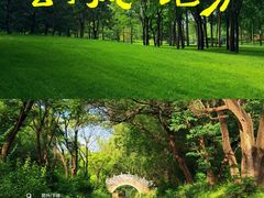 -北坞公园