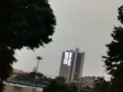 -燕子岗体育场