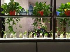 -必胜客(大观天地店)