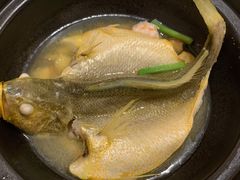 清煮小黄鱼-悦景酒家(罗湖店)