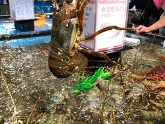 -盒马鲜生(曜一城店)