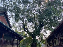-南华禅寺
