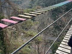 -龙岩森林水乡景区