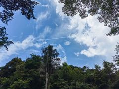 -广州市流溪河国家森林公园