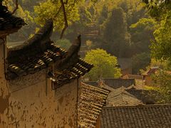 -杨家堂村