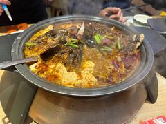-鱼酷活鱼烤鱼(静安大融城店)