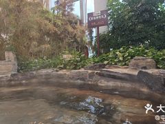 -中家鑫园温泉酒店鑫悦汤泉