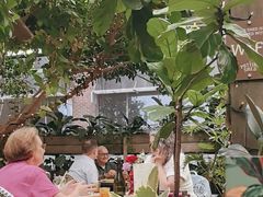 -The Grounds of Alexandria