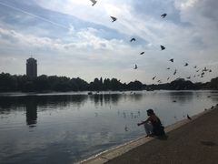 -海德公园