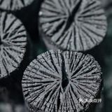 珠江新城炭烤鳗鱼，求你再开一家吧！