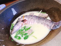 -咕嘟草帽鱼·牛奶一样的鲜鱼汤(包河万达广场创始店)